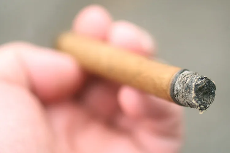 Hoyo de Monterrey Le Hoyo du Gourmet (1994)