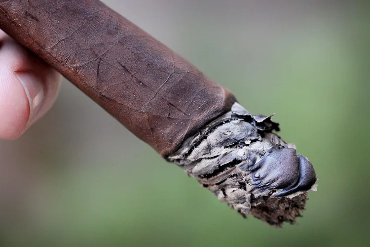 Viaje C-4 (2012)