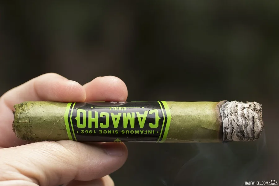 Camacho Candela (2018)
