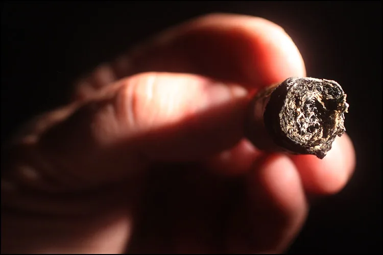 Viaje Super Shot 12 Gauge