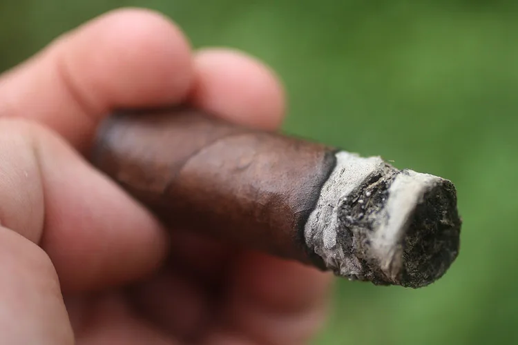 La Dueña Petit Robusto