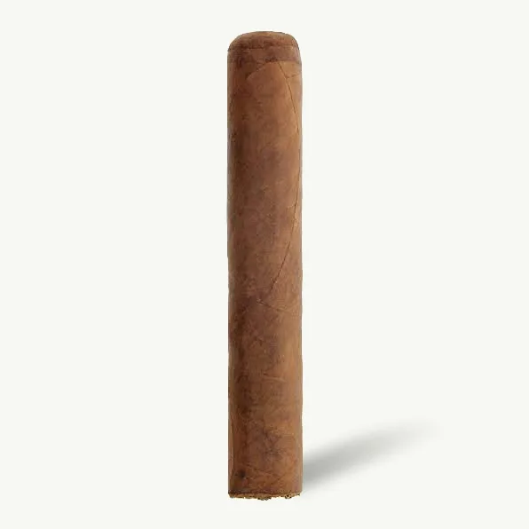 Flor del Sol Robusto