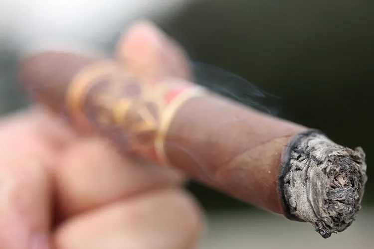 Oliva Serie V Diadema