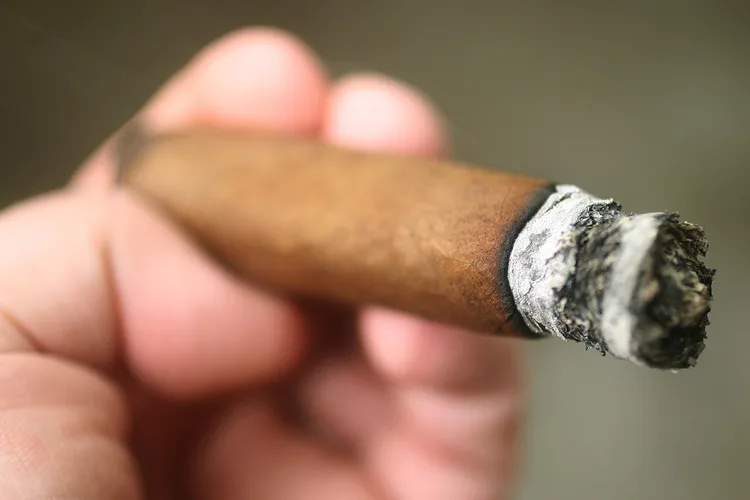 My Father Flor de las Antillas Toro