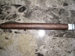 262 Paradigm