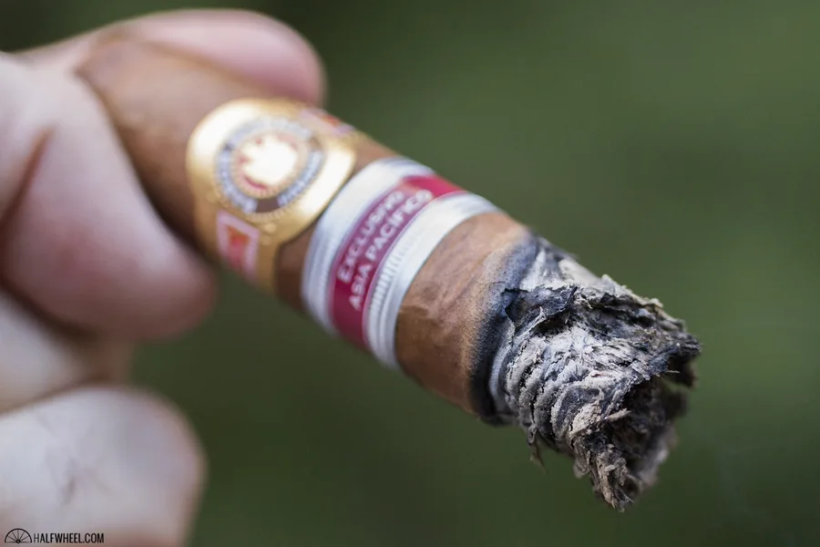 Ramón Allones Silver Jubilee Edición Regional Asia Pacifico (2017)