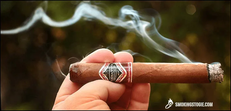 Buena Vista Edición Limitada