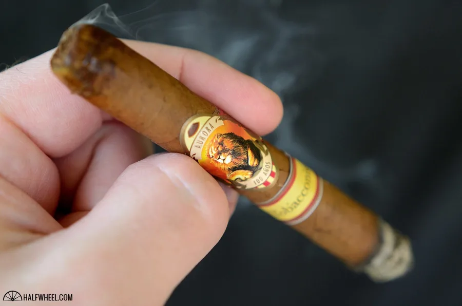 La Aurora 100 Años Lancero Cameroon