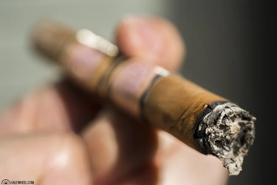 Southern Draw Rose of Sharon Lancero