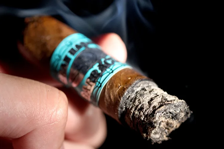 Gran Habano STK Miami Barracuda