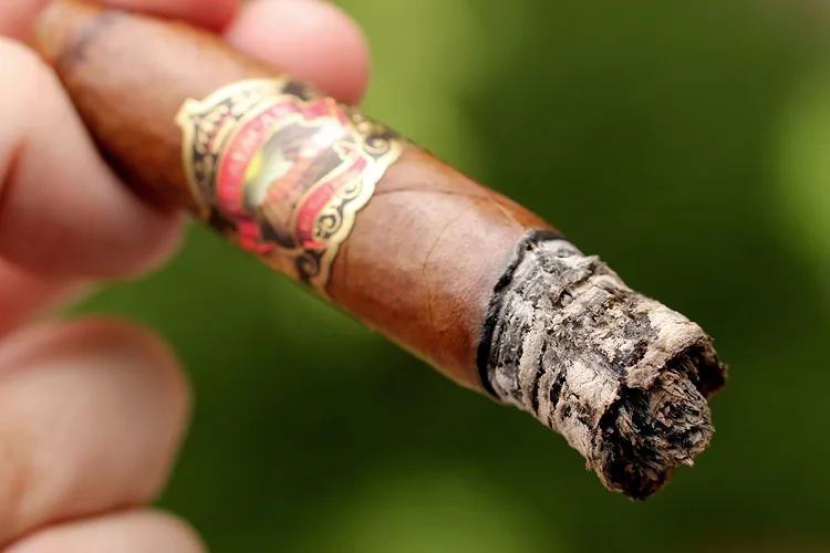 Guayacan Torpedo