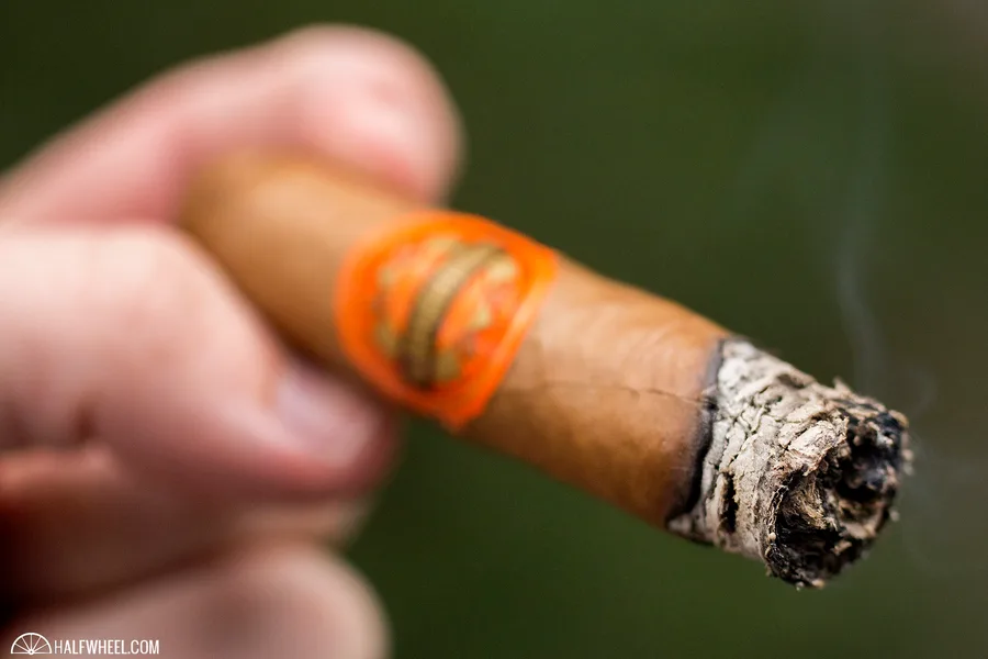 Luminosa Robusto