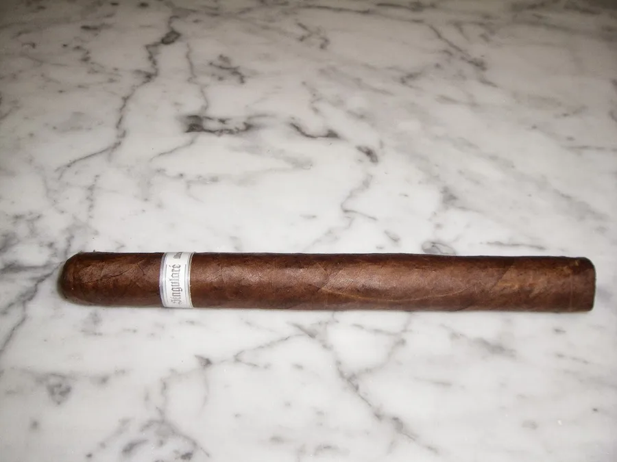 Illusione Singularé 2013 Rose Croix