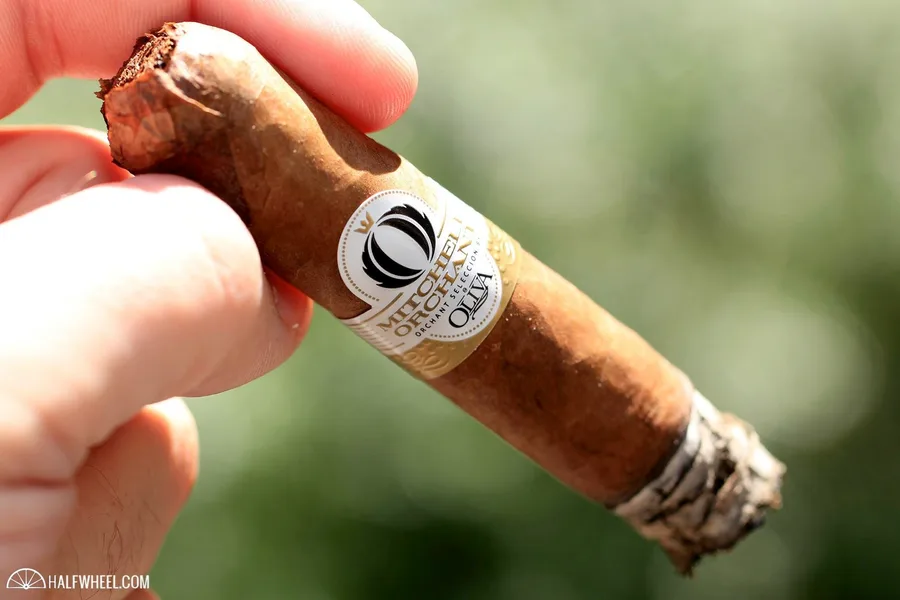 Mitchell Orchant Orchant Seleccion by Oliva Shorty