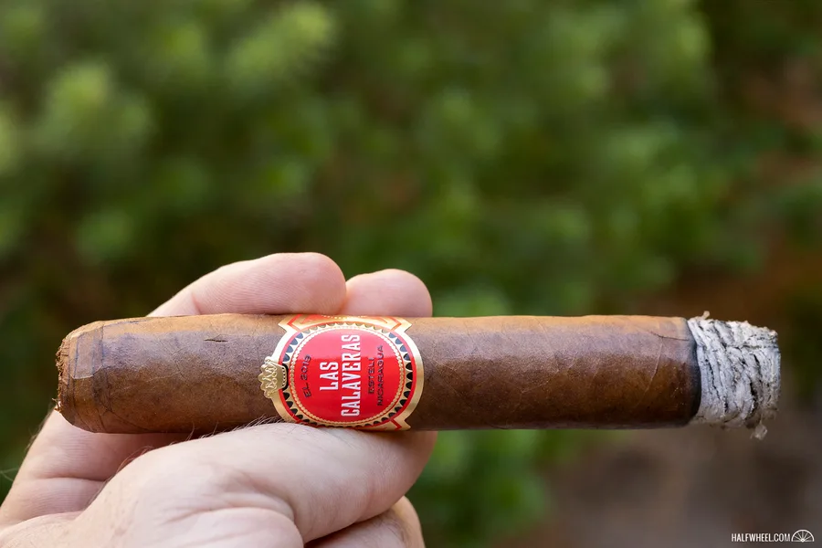 Las Calaveras Edición Limitada 2019 LC54