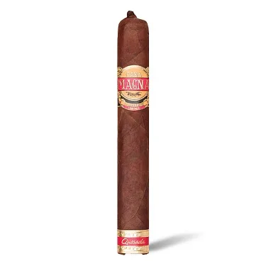 Casa Magna D. Magnus II Optimus