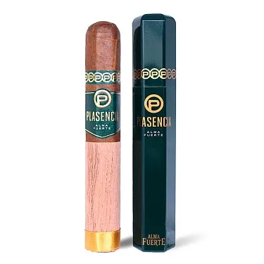 Plasencia Alma Fuerte Sixto I Hexagono Natural Tubos