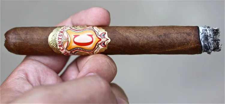 El Centurion Lancero