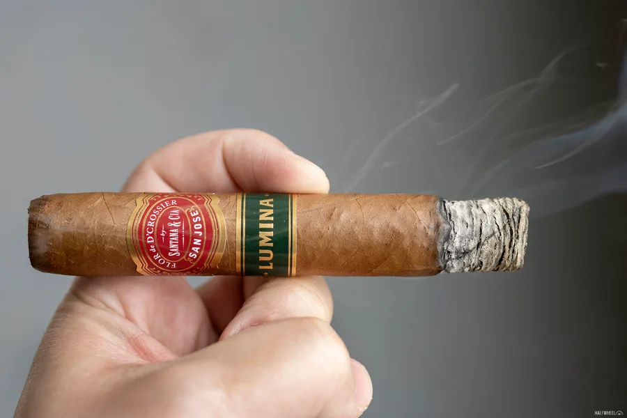 Flor de D’Crossier Seleccion Escogida Lumina Robusto