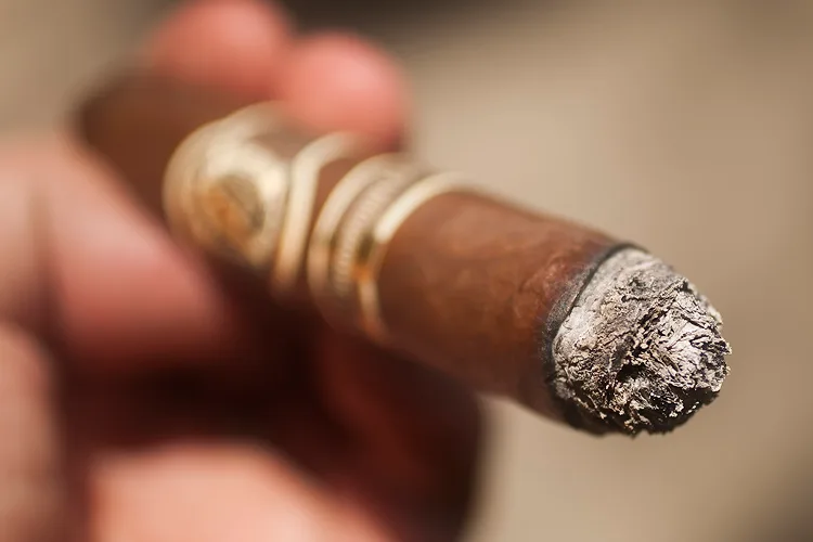 AVO Limited Edition 2013 The Dominant 13th