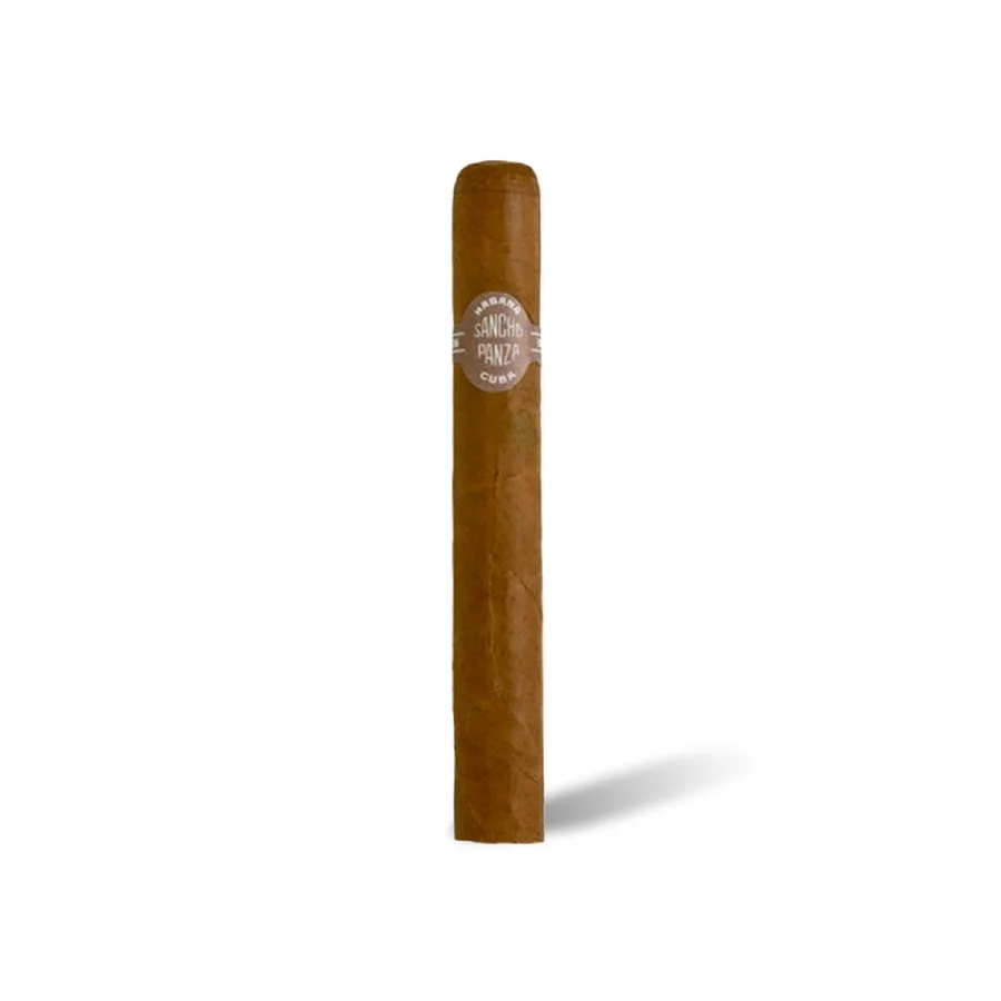 Sancho Panza Non Plus