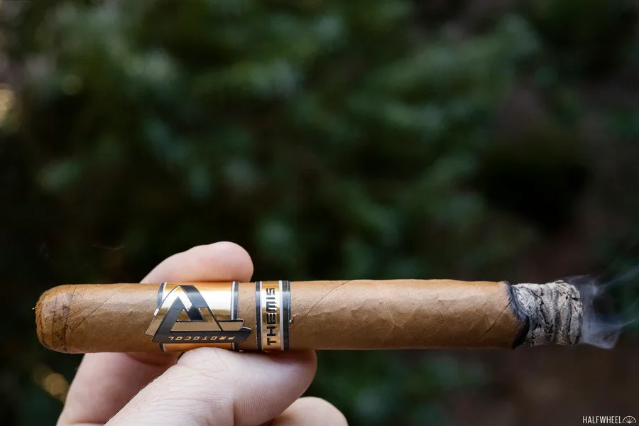 Protocol Themis Corona Gorda