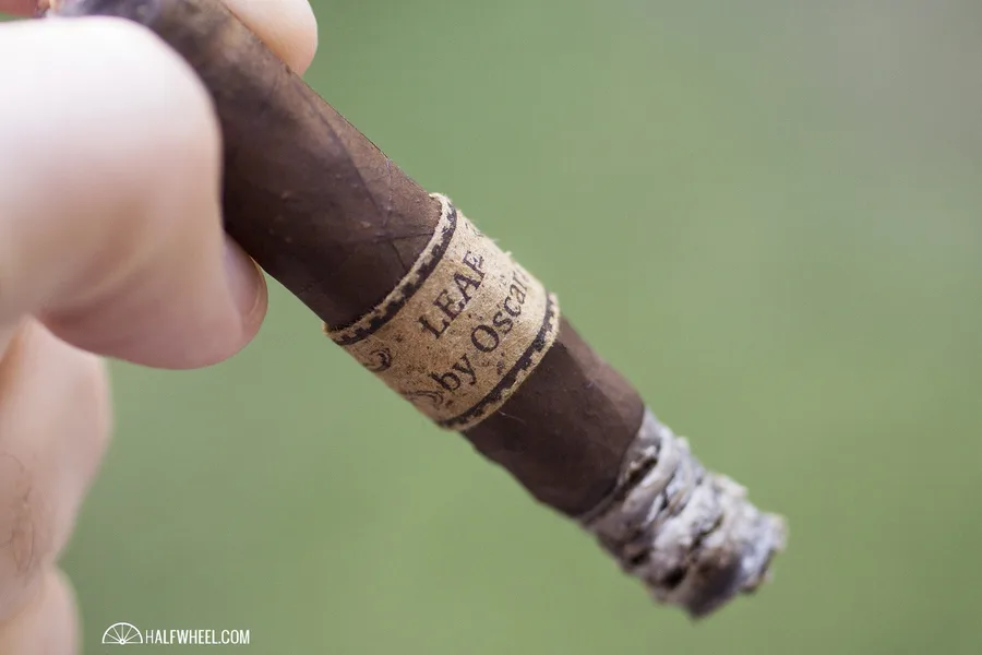 Leaf by Oscar Maduro