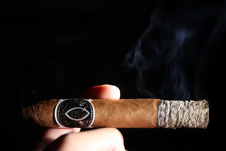 Quesada Jalapa