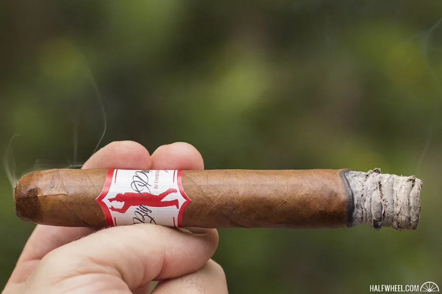 Big Papi by David Ortiz
