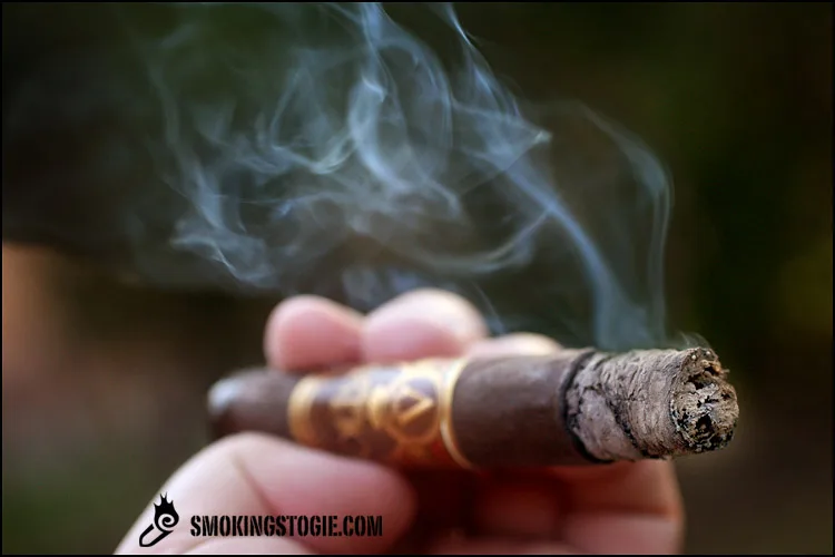 Oliva Serie V Maduro Especial 2011