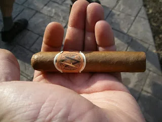 AVO XO