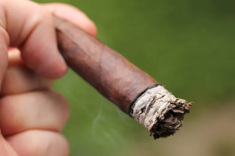 CroMagnon Venus
