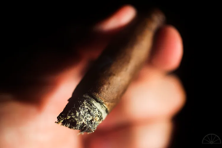 CroMagnon Mode 5